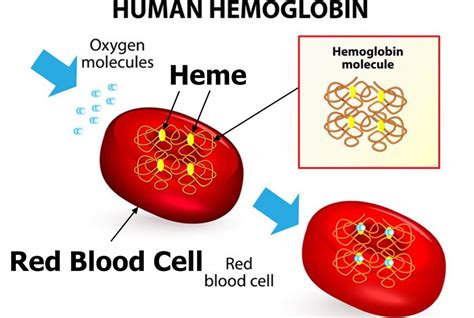 Methemoglobinemia causes, symptoms, diagnosis, prognosis & treatment