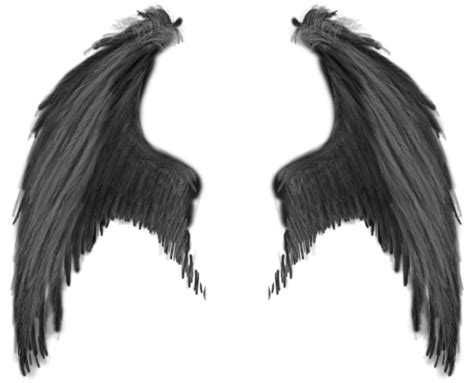 Download Transparent Background Black Angel Wings Png Png And Base ...