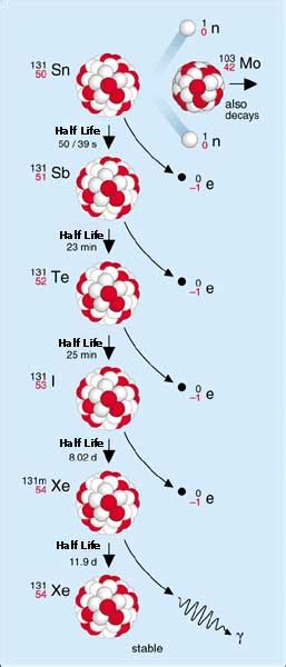 Fission products - ENS