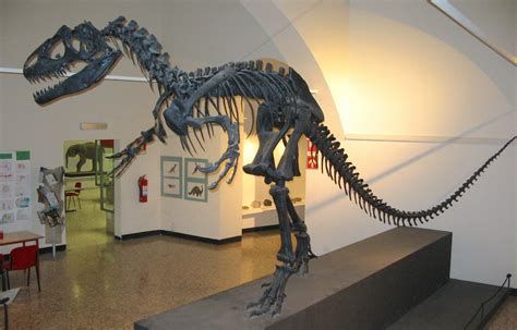 Hot video Utah State Fossil - Allosaurus - 2000 Daily