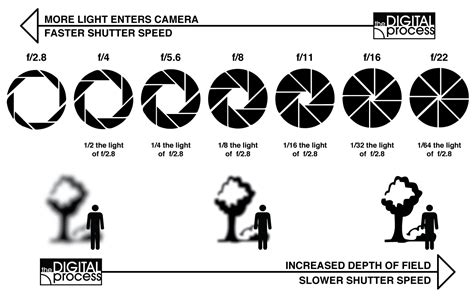 aperture-diagram | the DIGITAL process