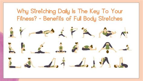 Why Stretching Daily Is The Key To Your Fitness - Benefits of Full Body ...