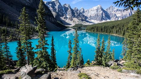 🔥 Download Moraine Lake Banff National Park Alberta Canada 4k HD by ...