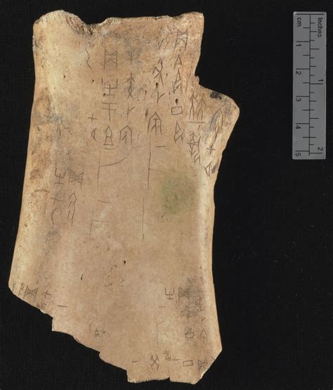 The History Blog » Blog Archive » Chinese oracle bones: from rubbings ...