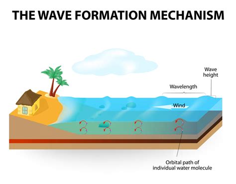 Differences of wind and surge waves and their influence on surfing