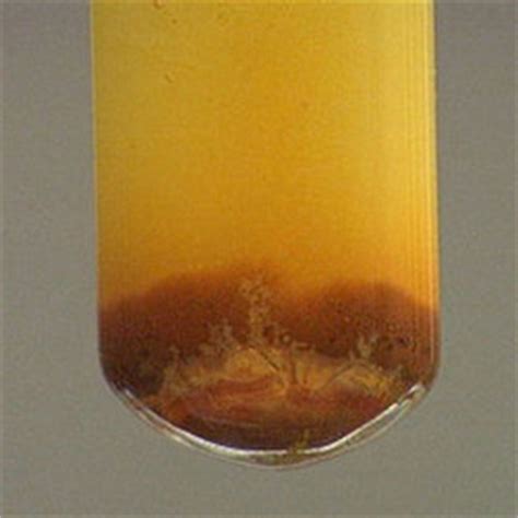 Iodine Compounds Suppliers, Manufacturers & Dealers in Mumbai, Maharashtra