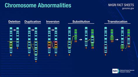 Structural Abnormalities Of Chromosome