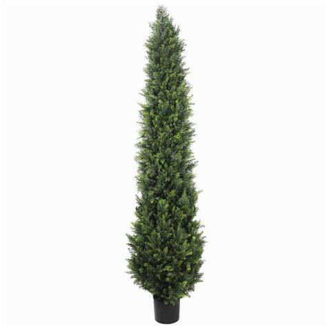 UV Resistant Cypress Pine Tree (2.1m)