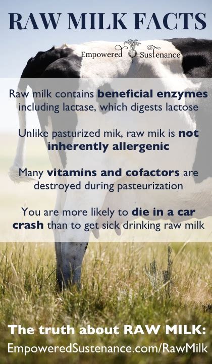 Raw Milk: Benefits, Safety and Facts about RAW Milk