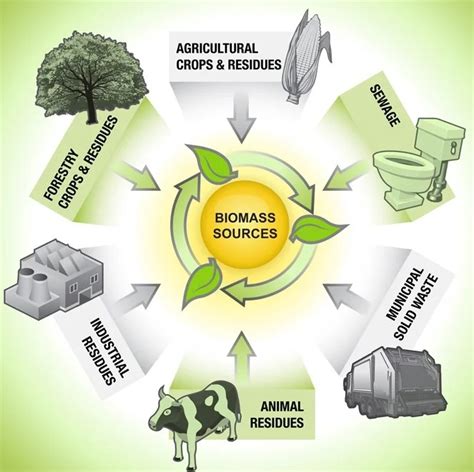 An Introduction to Biomass Energy - BioEnergy Consult