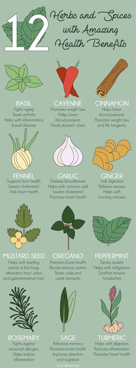 The Amazing Health Benefits of 12 Herbs and Spices | Pinterest ...