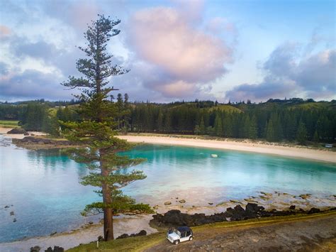 Glass Bottom Boat Tour - Visit Norfolk Island