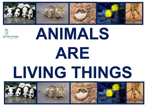 ANIMALS ARE LIVING THINGS