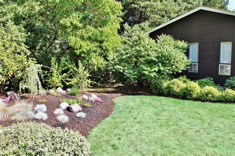 How to Create a Landscape Berm (With Easy Plants!)