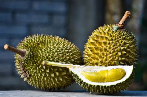 Global durian fruit market to hit $28.6 billion by 2025