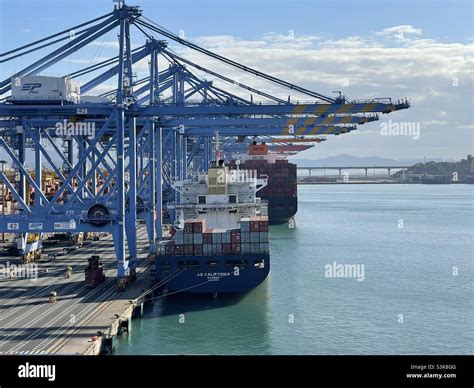 Busan New Port, South Korea container Terminal with gantry cranes and ...