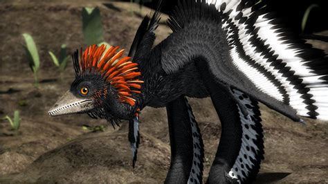 Fossil feathers reveal how dinosaurs took flight | Science | AAAS