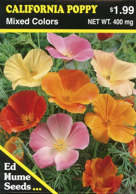 California Poppy – Mixed Colors – Hume Seeds