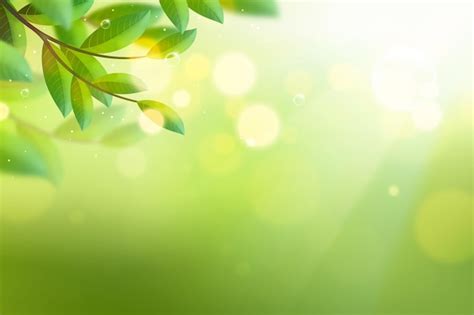 97 + Background Green Nature free Download - MyWeb