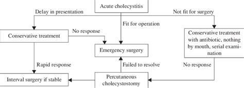 Algorithm for the treatment of patients with acute cholecystitis ...