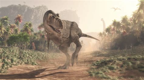 Let’s learn about dinosaur extinction