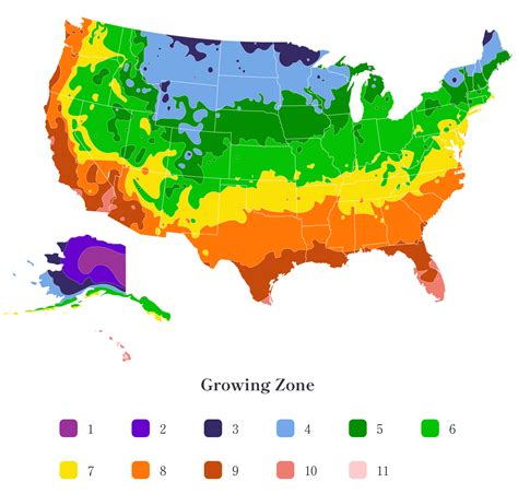 Growing Zone Map - Find Your Plant Hardiness Zone | Trees.com