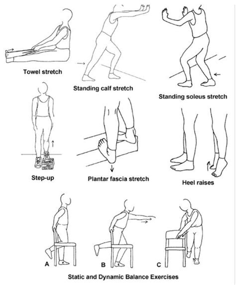 Physical Therapy Exercises For Achilles Tendon Rupture – Online degrees