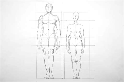 How to Draw Human Proportions - Scale the Figure Correctly (2022)