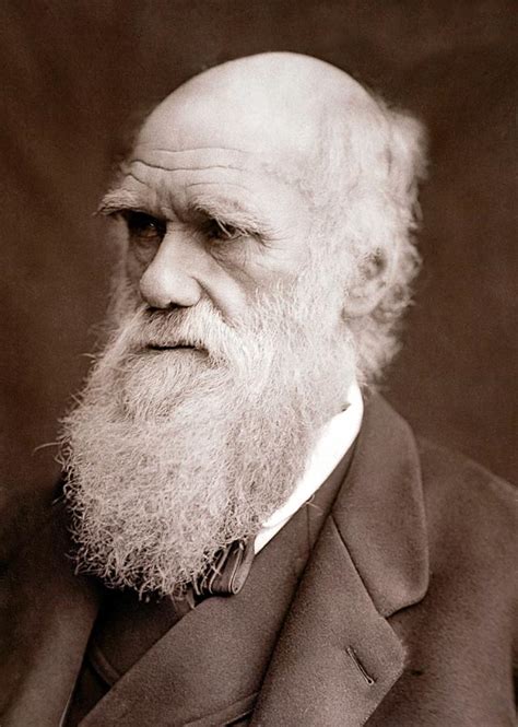 1877 Charles Darwin Portrait Photograph Photograph by Paul D Stewart ...