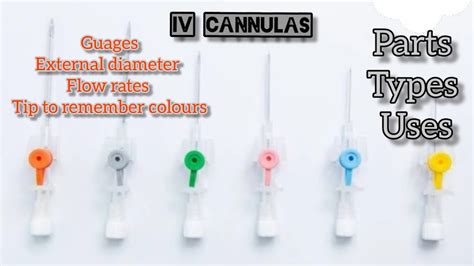 Types Of Iv Cannula Uses Gauge Flow Rate Diameter Of, 53% OFF