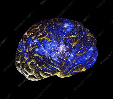 Boltzmann brain, conceptual image - Stock Image - F037/2693 - Science ...