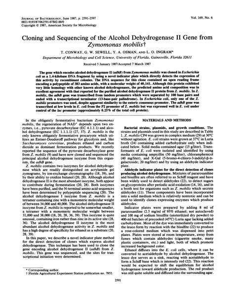 (PDF) Cloning and sequencing of the alcohol dehydrogenase II gene from ...