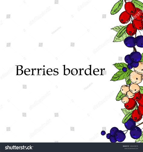 Berries Border Drawing Hand Drawn Frame Stock Illustration 1406449676 ...