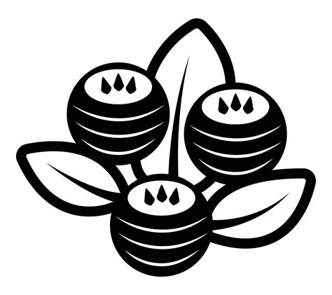 Three magical berries with leaves, black and white vector illustration ...