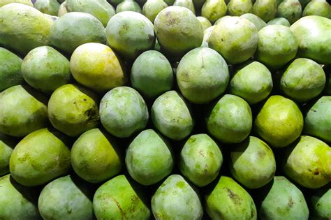 Low Production and High Price for Indian Mangoes in 2019 - Tridge