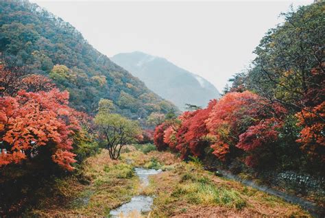 Best Places to See Fall Foliage in Korea - There She Goes Again