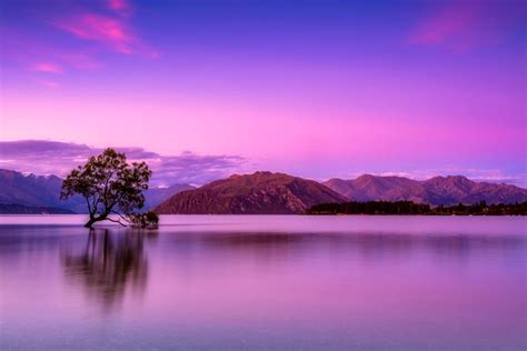 21 Mind-Blowing Lakes in New Zealand 🏞️ - NZ Pocket Guide