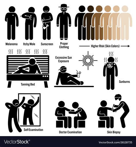 Melanoma skin cancer symptoms causes risk factors Vector Image