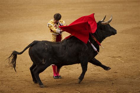 APphoto_Spain Bullfight