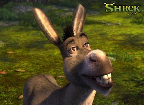 Shrek Donkey, Funny Donkey HD wallpaper | Pxfuel