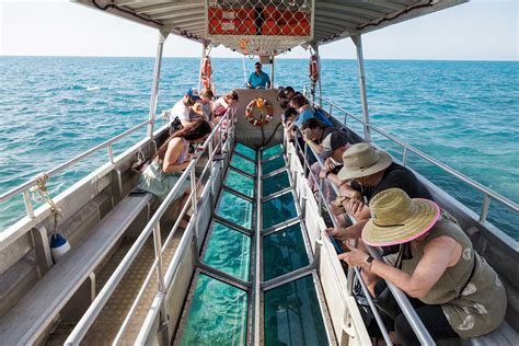 The Magic Below: Fitzroy Island Glass Bottom Boat Tours | Fitzroy Island