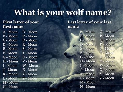 What is your wolf name? | Funny name generator, Wolf name, Funny memes