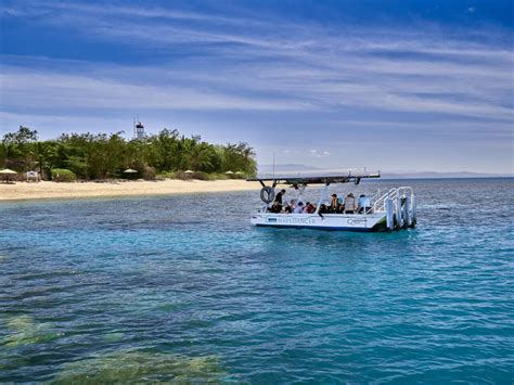 Port Douglas Reef Tour | Snorkelling Low Isles