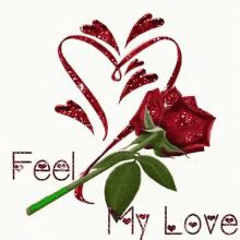 To The Rose Of My Heart I Love You GIF - To The Rose Of My Heart I Love ...