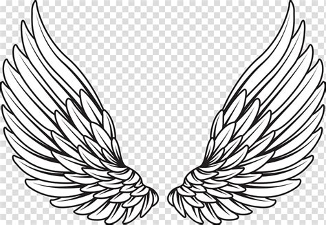 wing - Google Search | Wings drawing, Angel wings drawing, Wing neck tattoo