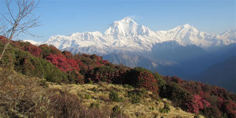 Annapurna Conservation Area – KTM Guide