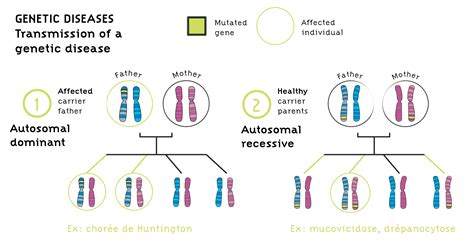 Wilson Disease Presentation on emaze