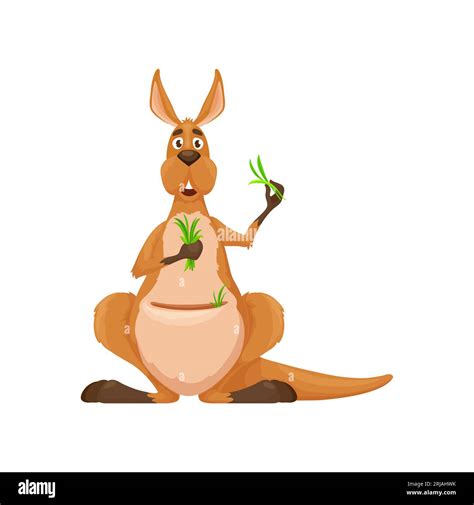 Cartoon kangaroo character with green grass in pouch, vector cute ...