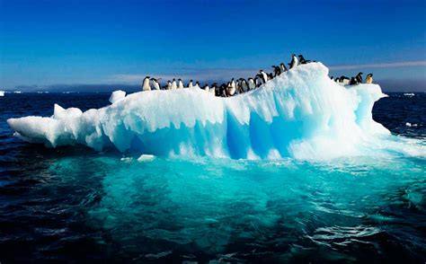 Hielo marino del Ártico podría desaparecer ocasionalmente antes del ...