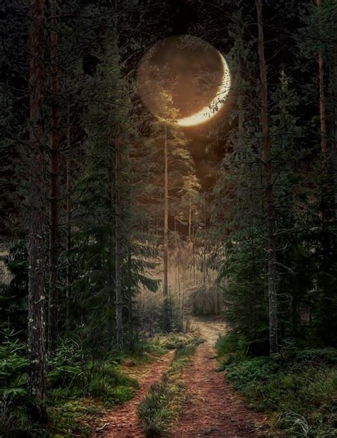 Forest Moon, Forest Path, Magic Forest, Forest House, Forest At Night ...